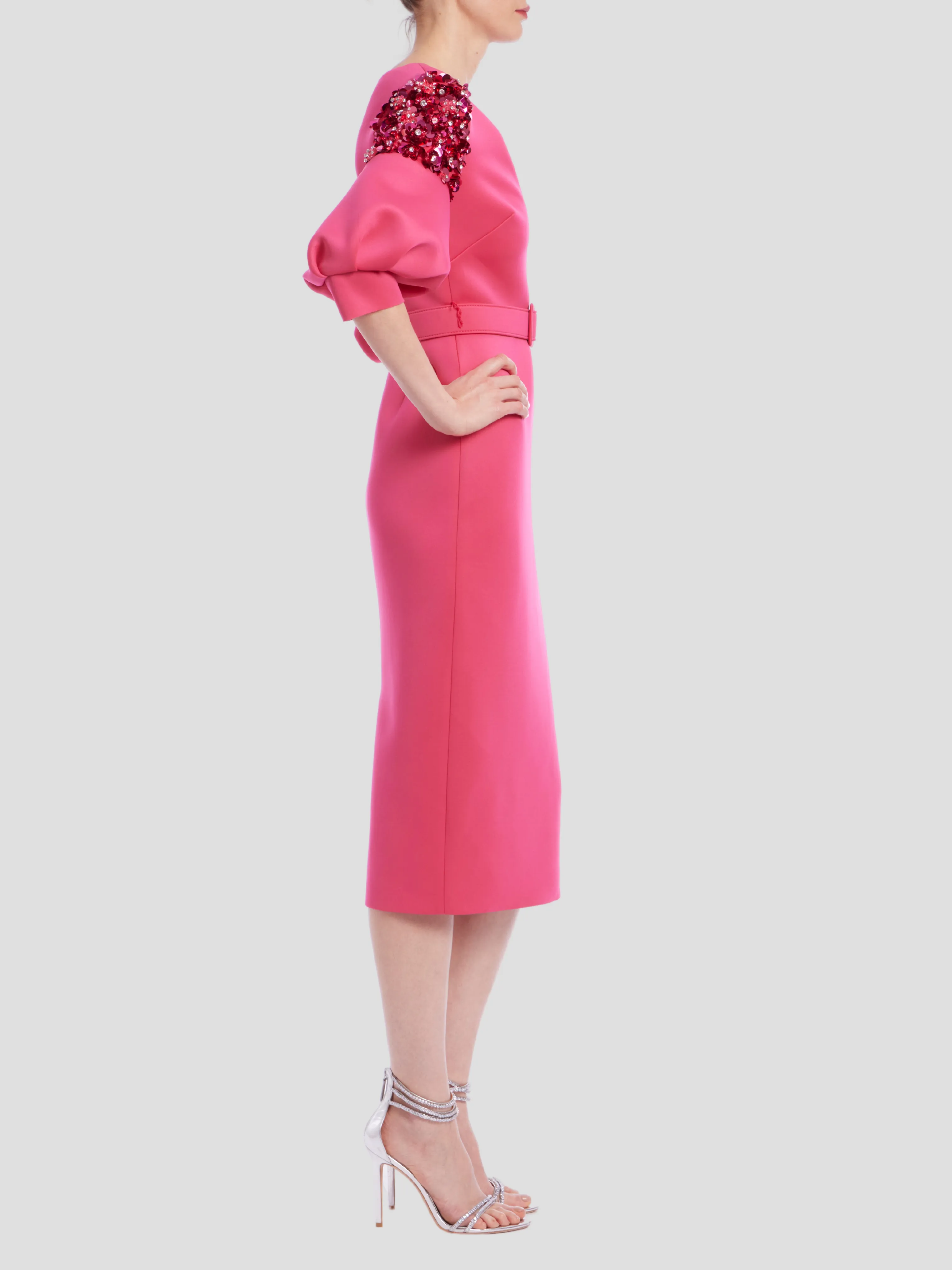 Embellished Sleeve Dress in Rose