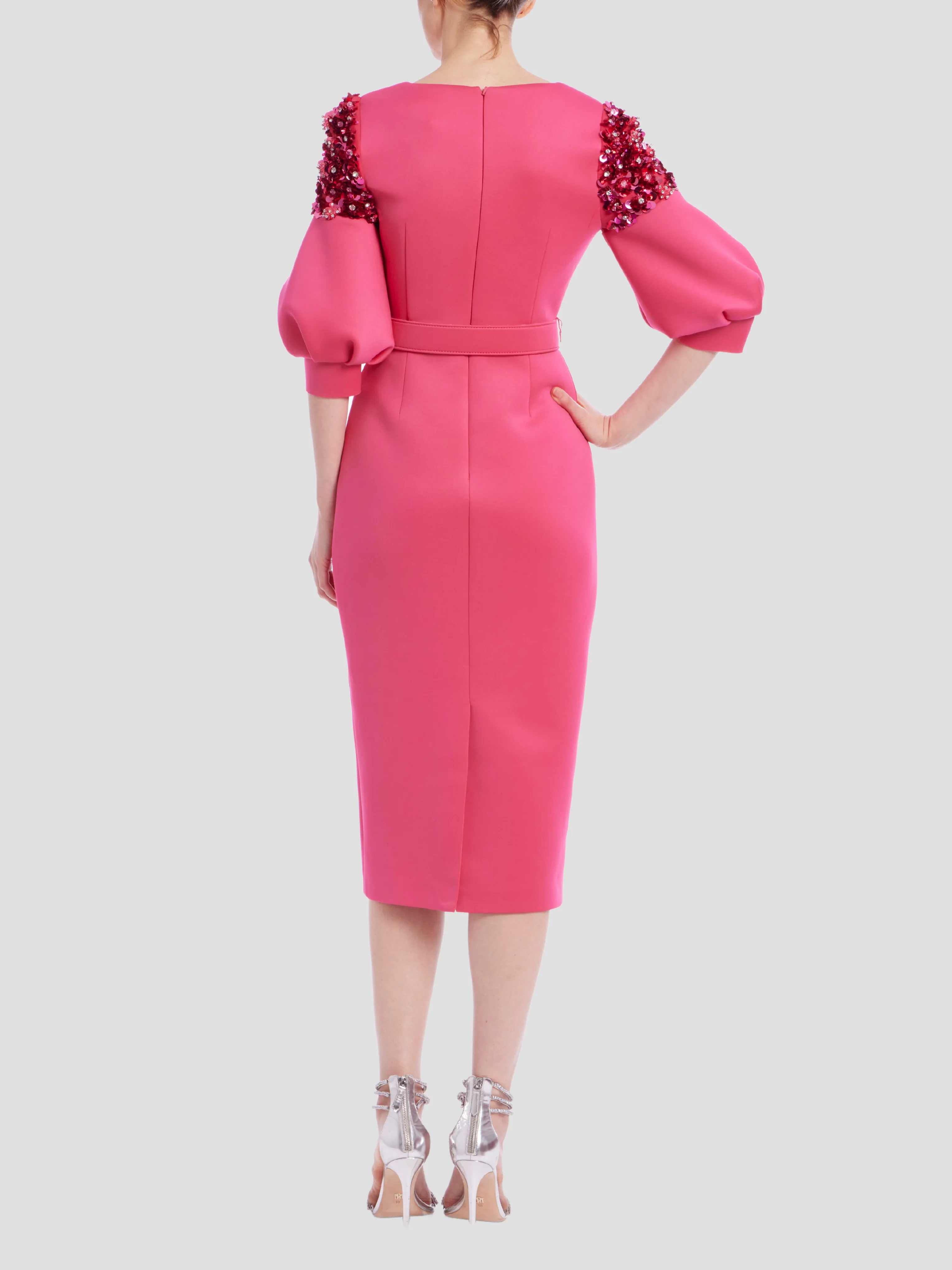 Embellished Sleeve Dress in Rose
